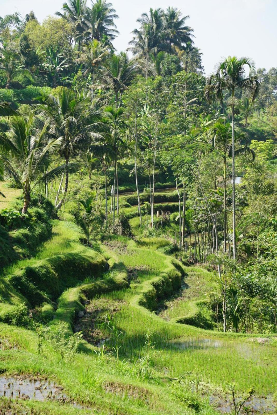 Tetebatu Indah Homestay Esterno foto