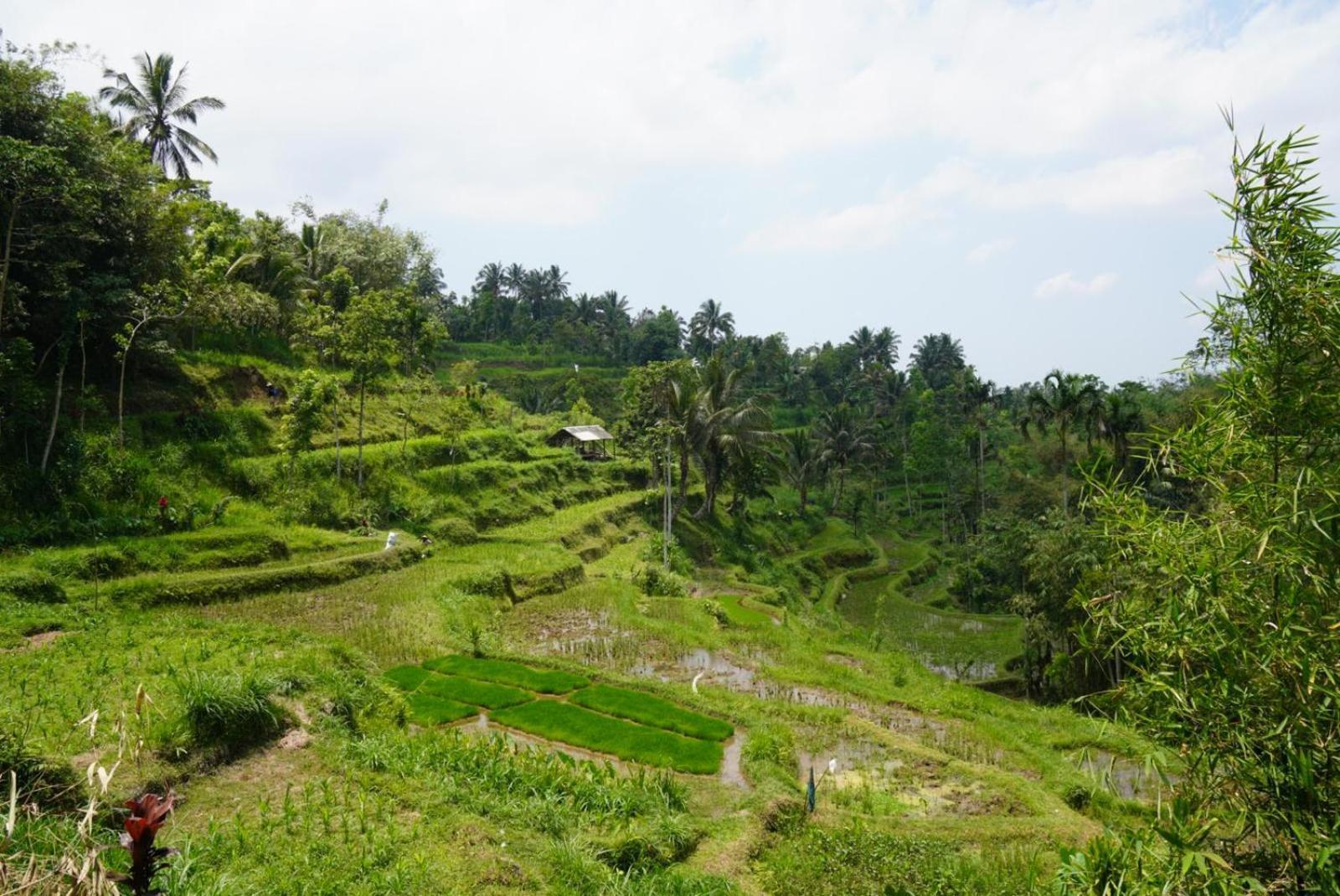 Tetebatu Indah Homestay Esterno foto