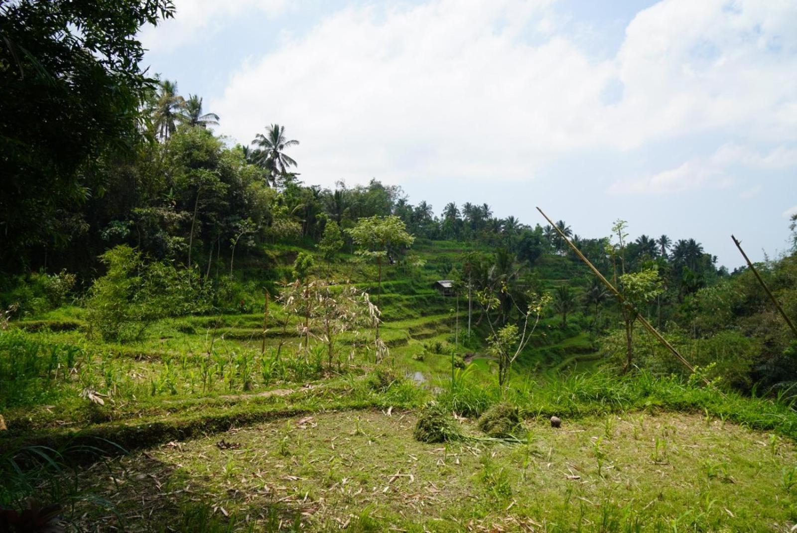 Tetebatu Indah Homestay Camera foto