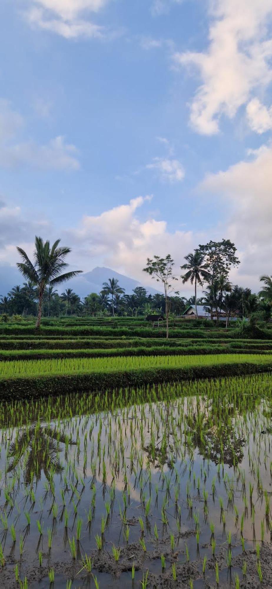 Tetebatu Indah Homestay Esterno foto