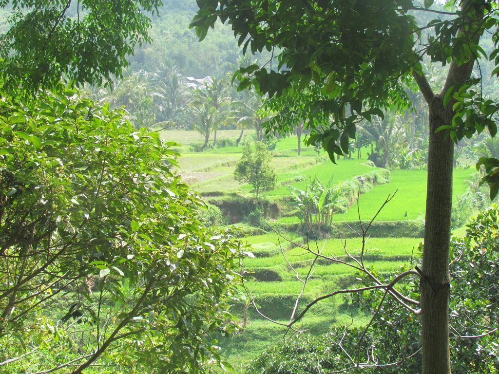 Tetebatu Indah Homestay Esterno foto