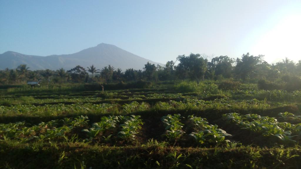 Tetebatu Indah Homestay Esterno foto