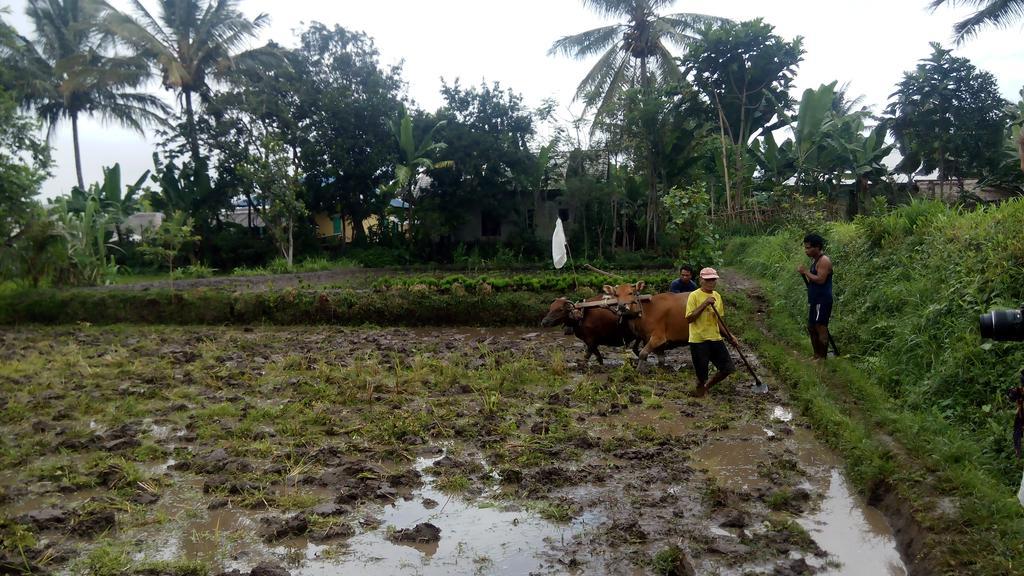 Tetebatu Indah Homestay Esterno foto