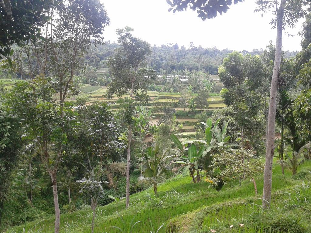 Tetebatu Indah Homestay Esterno foto